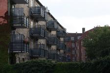IMG_1652.JPG